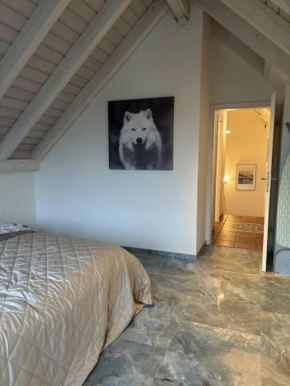 Entspannen, ruhige Maisonette Dachwohnung